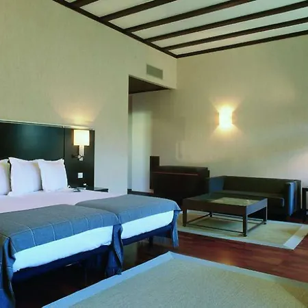 Ac Palacio De Santa Ana By Marriott