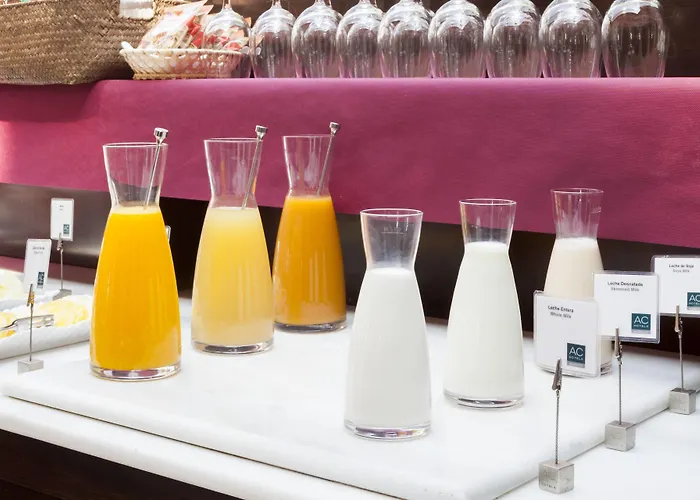 Ac Palacio De Santa Ana By Marriott 호텔