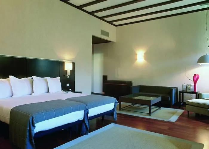 Ac Palacio De Santa Ana By Marriott